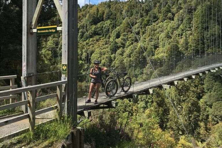 Timber Trail One Day Mountain Bike Ride - Shuttle Service - Practical Details and Tips for Your Trip