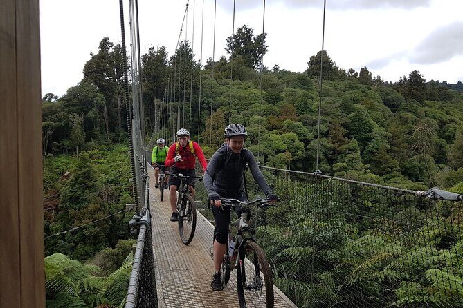 Timber Trail - Ongarue to Pureora Shuttle 2 Day Ride - The Sum Up