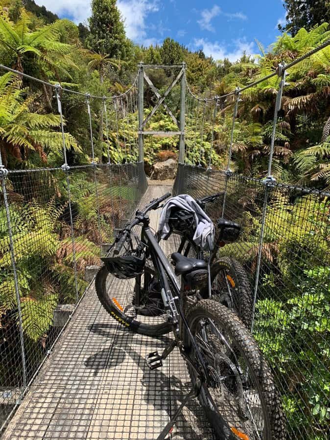 Timber Trail Two Day Mountain Bike Ride - Shuttle Service - Who Will Love This Tour?