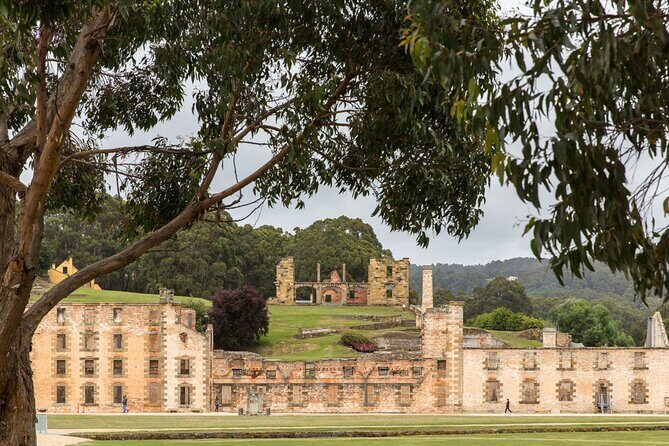 Time Traveler Tale Unveiling History at Port Arthur Full Day Tour - Why This Tour Offers Real Value