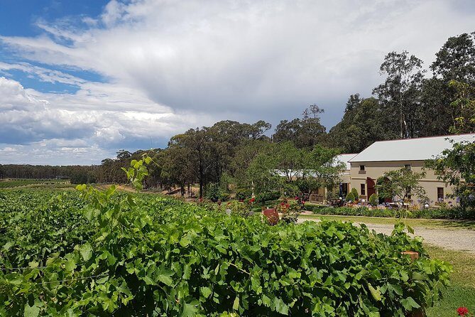 Tintilla Estate: Wine Tasting with a Meat and Cheese Platter - FAQs