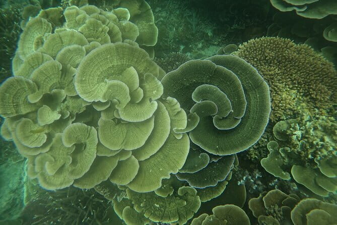Tioman Coral Island Snorkeling & Island Hopping Tour - Stop 2: Malang Rock