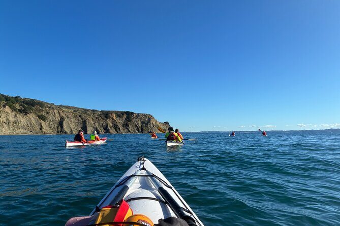 Tiritiri Matangi Sea Kayak Tour - The Sum Up