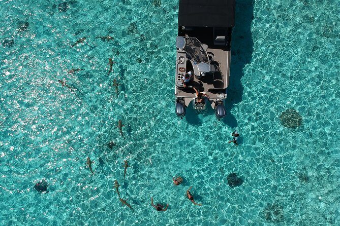 Toa Boat Bora Bora Private Lagoon Tour On Entertainer Bar Boat - Practical Details: Logistics and Value