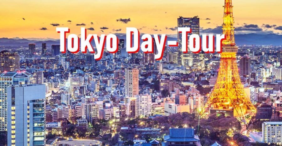 Tokyo: 10-hour Customizable Private Tour with Hotel Transfer - Practical Considerations and Tips