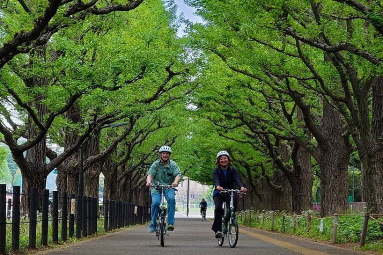 Tokyo: 3h Private E-bike Tours, Starting at Your Hotel - What Does the Tour Cover?