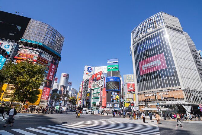 Tokyo 7hr Tour Licensed Guide & Vehicle: NRT Airport Drop Off - What Are the Key Benefits of This Tour?