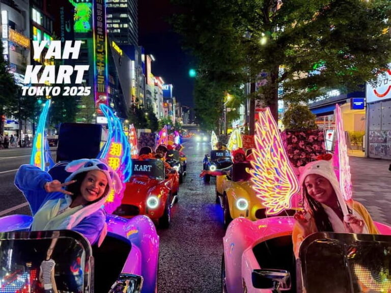 Tokyo: Akihabara/Asakusa Go-Karting Tour (including guide) - An In-Depth Look at the Tokyo Go-Karting Tour
