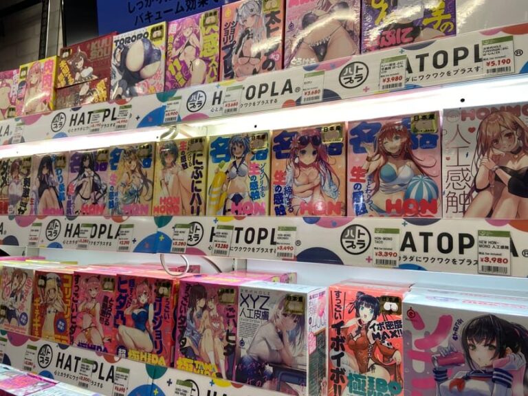 Tokyo: Akihabara Private Hentai Tour - Who should consider this tour?