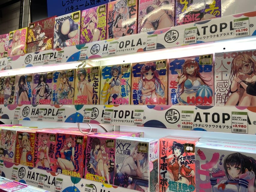 Tokyo: Akihabara Private Hentai Tour - Who should consider this tour?