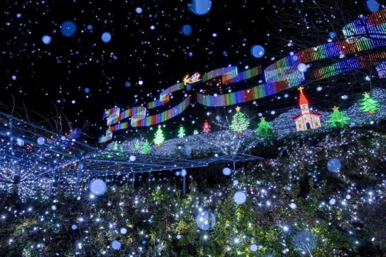 Tokyo: Ashikaga Flower Park with Entry Ticket - What to Expect on Your Trip