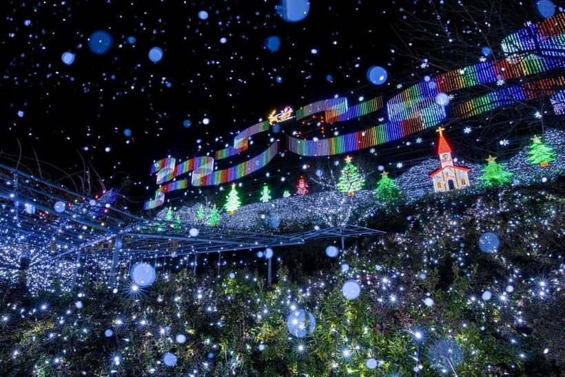 Tokyo: Ashikaga Flower Park with Entry Ticket - What to Expect on Your Trip