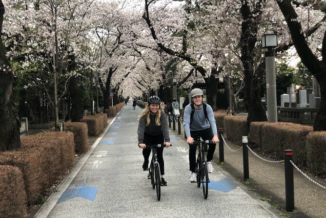 Tokyo Bike Tour: Shibuya & Hidden Tokyo - Authentic Insights from Travelers
