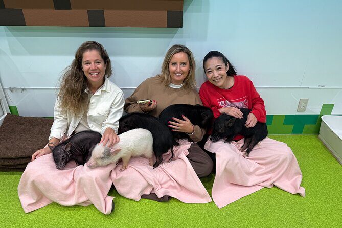 Tokyo: Customized Private Walking Tour with Hitomy _5hrs - Who Will Love This Tour?