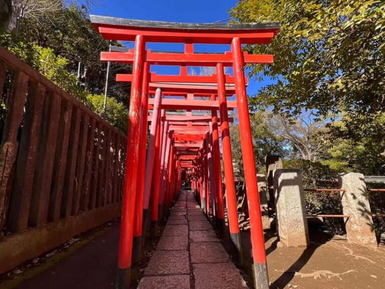Tokyo: Encounter Cultural Heritage & enjoy the old town - Why This Tour Is Worth Considering