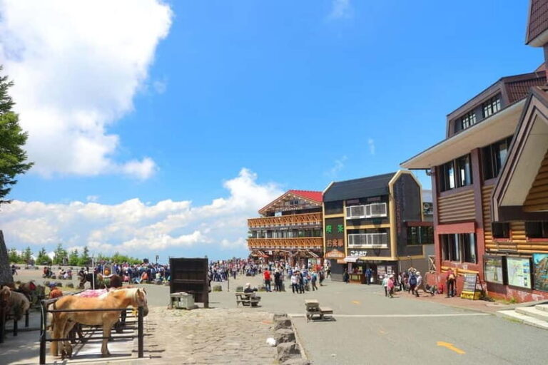 Tokyo: Fuji 5th St & Hakone Day Trip with Cable Car & Cruise - Who Will Love This Tour?