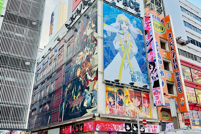 Tokyo Full Day Asakusa, Akihabara, Harajuku and Shinjuku - Who Would Benefit Most from This Tour?