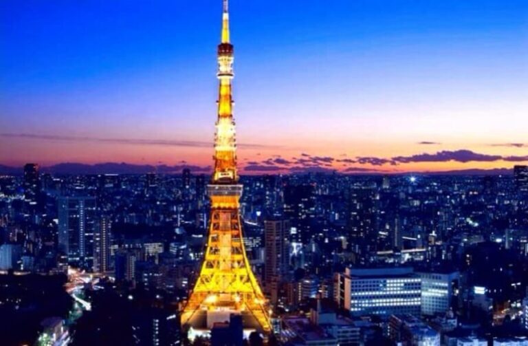 Tokyo Full-Day Private Customizable Tour With English Driver - Who Will Love This Tour?