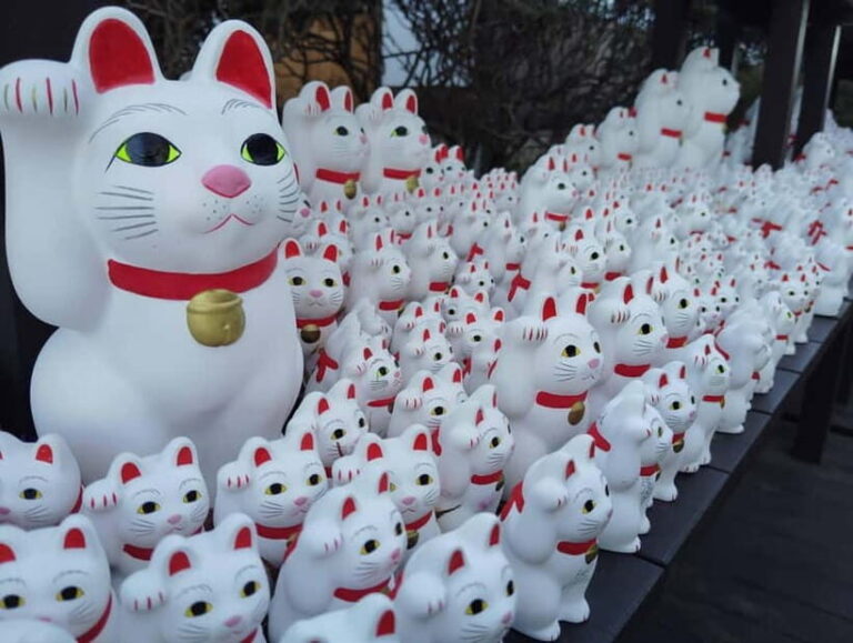 Tokyo: Gotokuji Temple Guided Tour with Manekineko Statues - Value and Practical Details