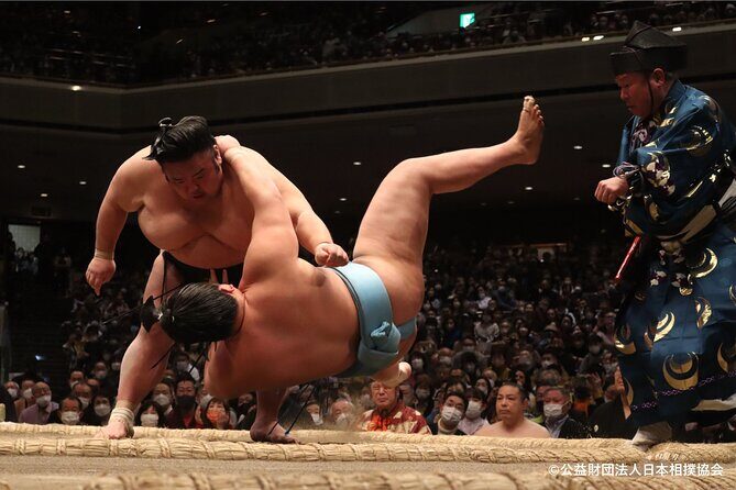 Tokyo Grand Sumo Tournament Viewing Tour - Who Should Book This Tour?
