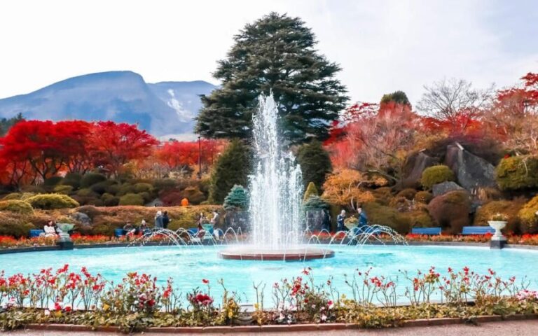 Tokyo : HAKONE x 3XPERIENCE's+OWAKUDANI+GOTEMBA (1 day tour) - What You Can Expect on This Tour
