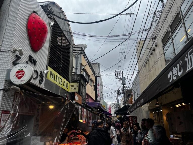 Tokyo Highlights Tour: Sumo, Sushi, Tea, and Tokyo Tower - Navigating the Logistics