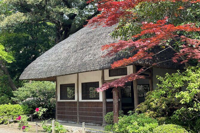 Tokyo Historian and Photographer Private Tour - A Richly Detailed Journey into Tokyo