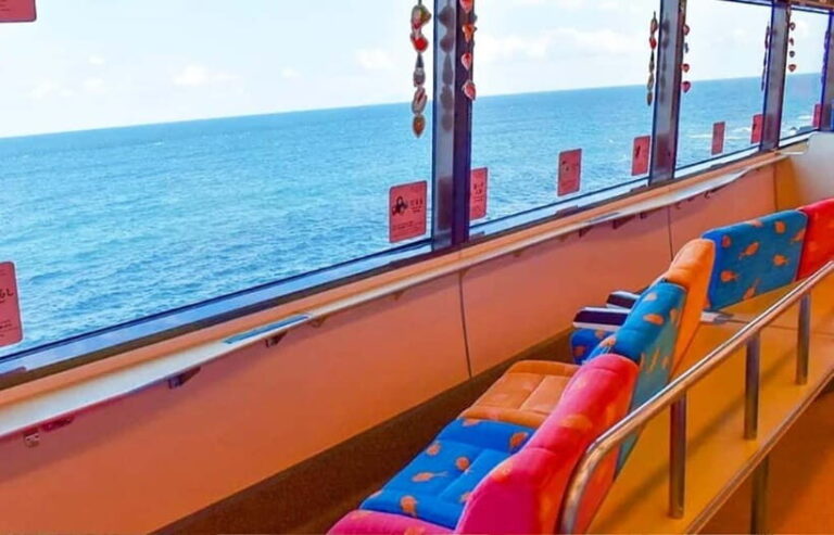 Tokyo: Izu Scenic Oceanview Train, Volcano, Coast Day Trip - Transportation & Logistics