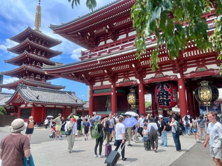 Tokyo: Meiji Jingu Shrine and Shinto Culture Walking Tour - Who Would Love This Tour?