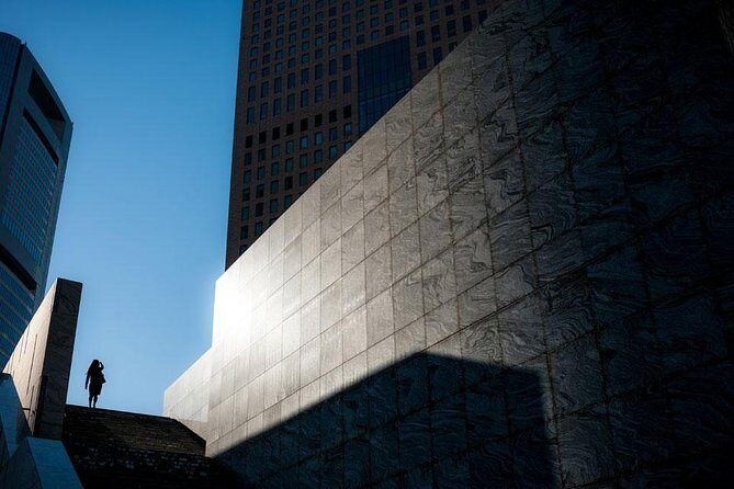 Tokyo Metropolis - What Do Photographers Say?