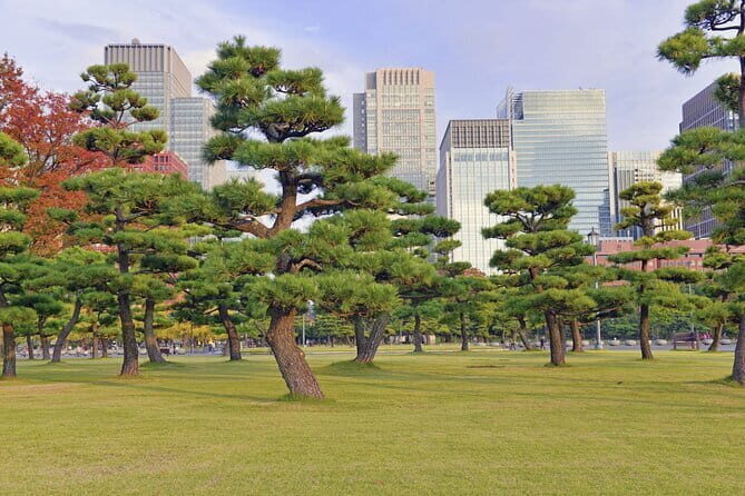 Tokyo Morning Small Group Tour - The Practicalities: What to Expect