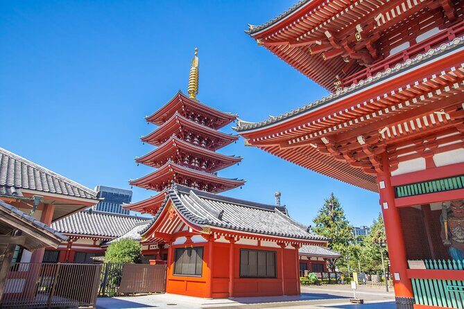 Tokyo Morning Tour Meiji Shrine, Asakusa and Local temple - Additional Details and Practical Tips