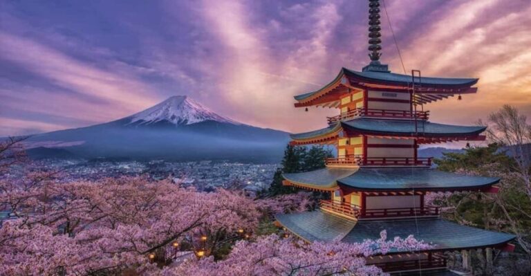 Tokyo: Mount Fuji and Hakone Private Sightseeing Day Tour - Transportation and Flexibility: Why It Matters