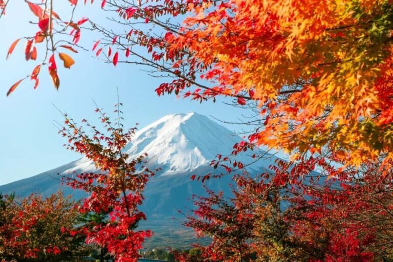 Tokyo: Mt. Fuji 5th Sta. & Autumn Festival Tour with lunch - Detailed Breakdown: Pros and Cons