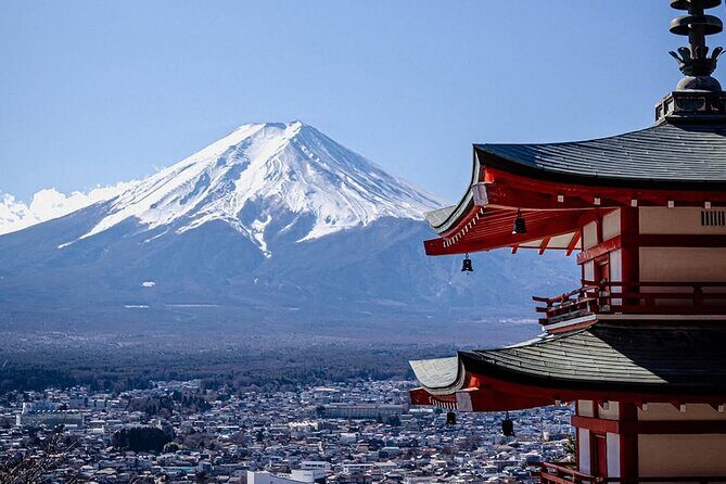 Tokyo Mt Fuji and Hakone Private Tour with English Driver - A Deep Dive into the Experience