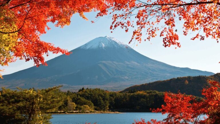 Tokyo: Mt. Fuji Hidden Gems and Aokigahara Forest Tour - Exploring the Geological Wonders: Narusawa Ice Cave & Fugaku Wind Cave