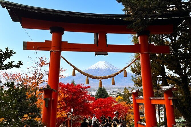 Tokyo: Mt.Fuji & Lake Kawaguchiko 1-Day Bus Tour w/Optional Lunch - Value and Practical Tips
