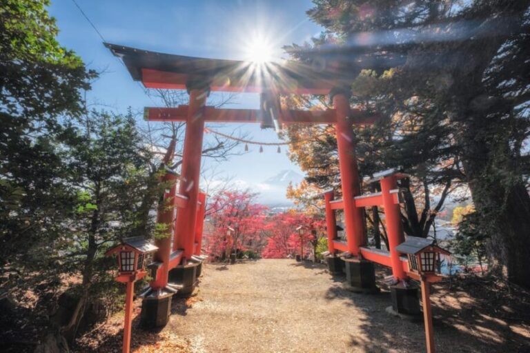 Tokyo: Mt.Fuji Private day Trip with English Speaking Driver - Detailed Dive into the Itinerary