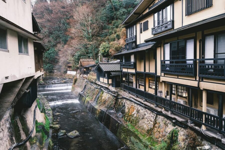 Tokyo: Nagano, Snow Monkeys and Zenko-ji Temple Private Tour - Who Will Love This Tour?