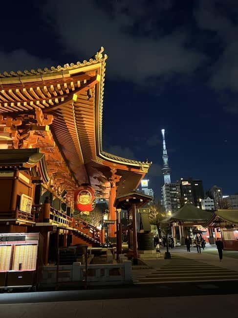 Tokyo Night Tour - Who Should Consider This Tour?
