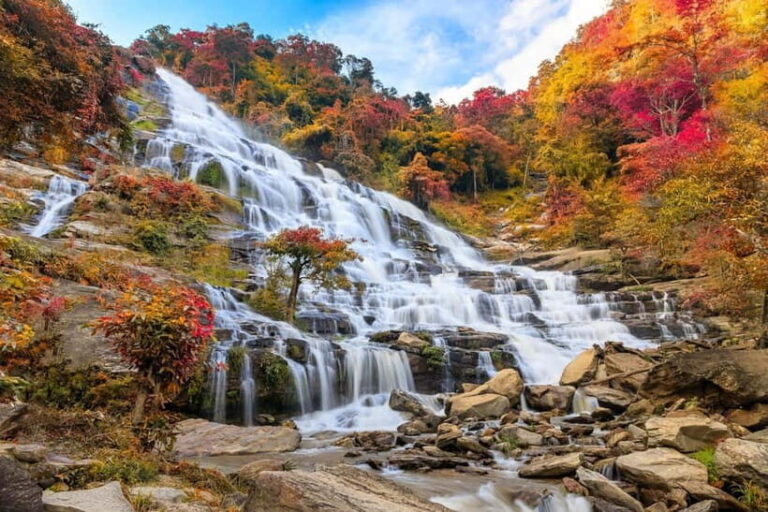 Tokyo: Nikko Day Tour Shrines, Lake Chzenji & Kegon Falls - Real Travelers Speak