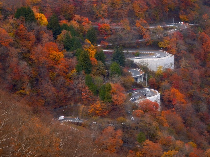 Tokyo: Nikko Private Day Tour English Speaking Driver - Why Choose the Tokyo: Nikko Private Day Tour?