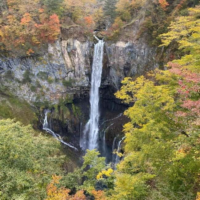 Tokyo: Nikko Private Day Tour Fully Customizeable Low Price - Why We Think This Tour Offers Great Value