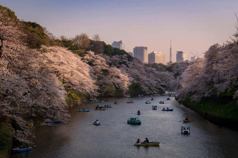 Tokyo: Photography Masterclass - Private Photo Lesson - What We Love About This Tour