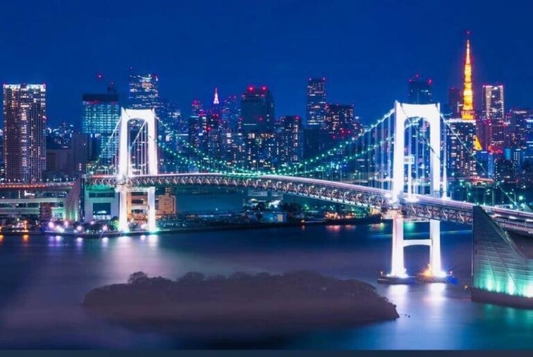 Tokyo Private Day Trip With English Speaking Driver - The Value Proposition: Is It Worth It?