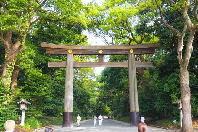 Tokyo Private Half Day Tour with Licensed Guide by Car - What You Can Expect from the Experience