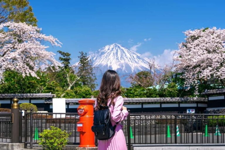 Tokyo: Private Mount Fuji Day Trip with Private Guide - Real Experiences and Considerations