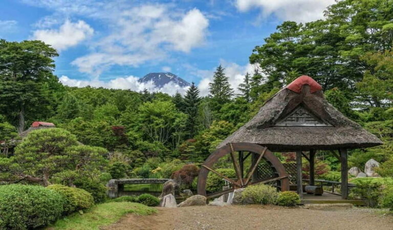Tokyo: Private Mount Fuji Tour with Pickup and Drop-Off - The Itinerary: What to Expect
