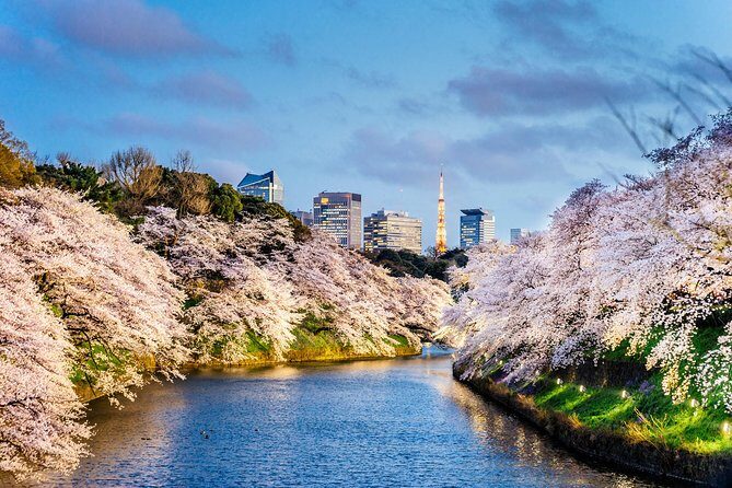 Tokyo Private Tour by Vehicle with English-Speaking Chauffeur - What the Reviews Tell Us