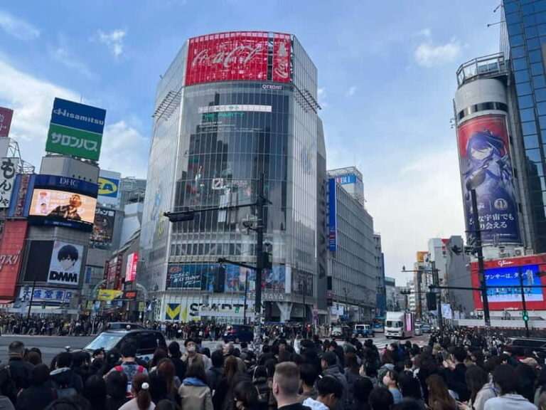 Tokyo: Private Tour of Tokyo - What’s Included & What’s Not